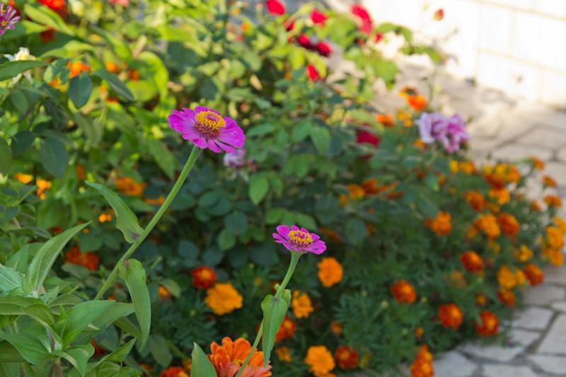 Vila Renato โปเรช ภายนอก รูปภาพ